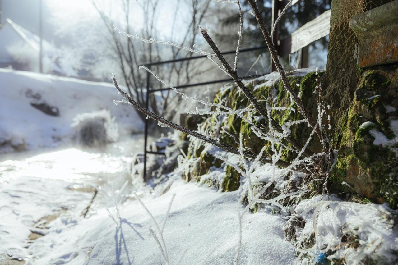 Skalni Mlyn Adršpach Buitenkant foto